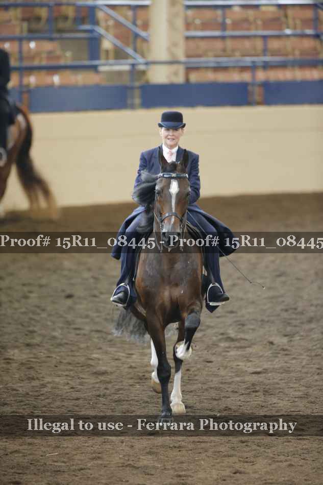 Proof 15R11_08445