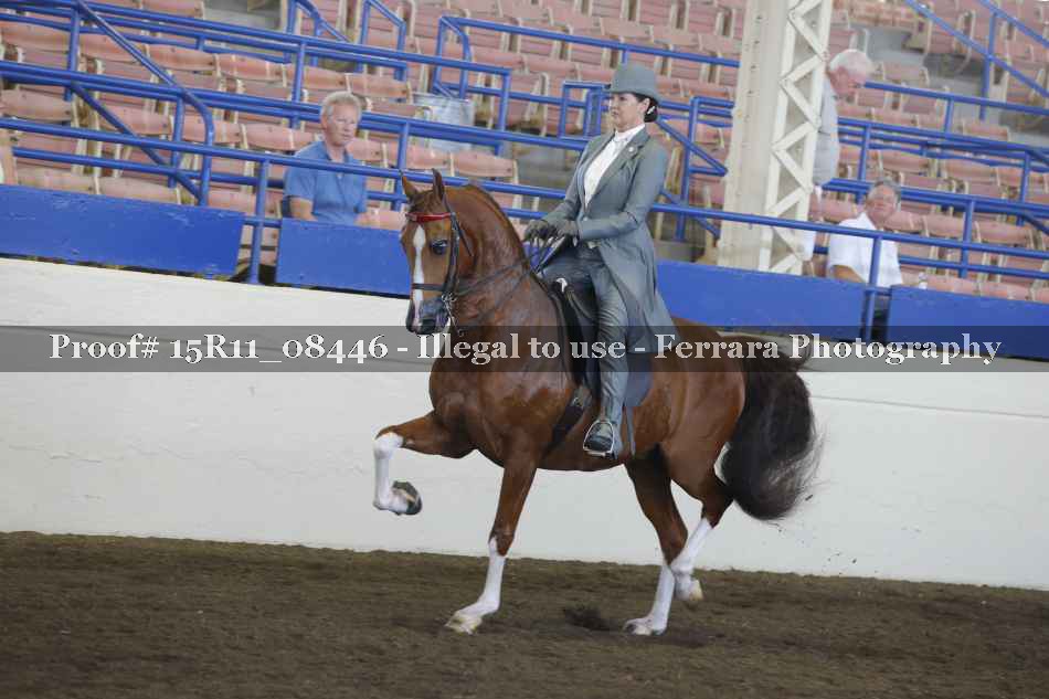 Proof 15R11_08446