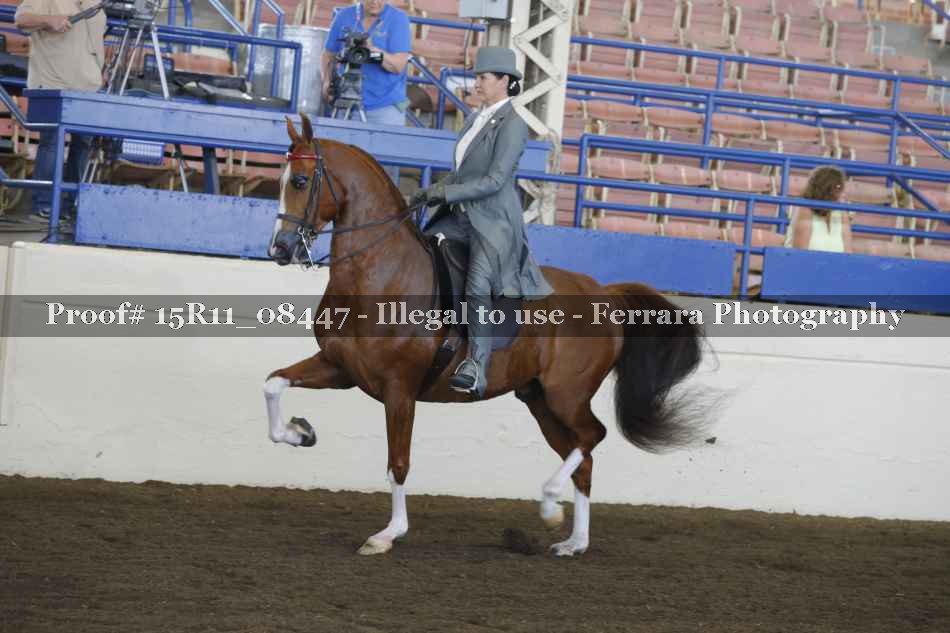 Proof 15R11_08447