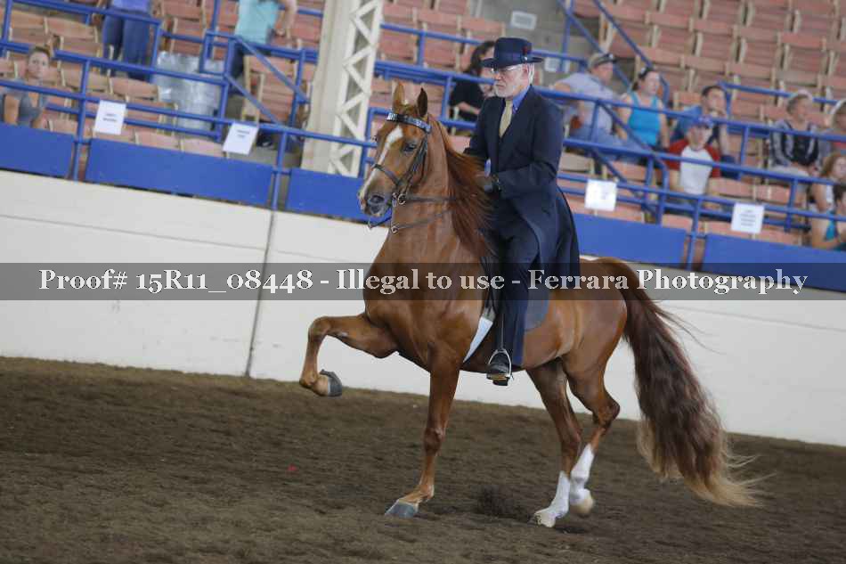Proof 15R11_08448