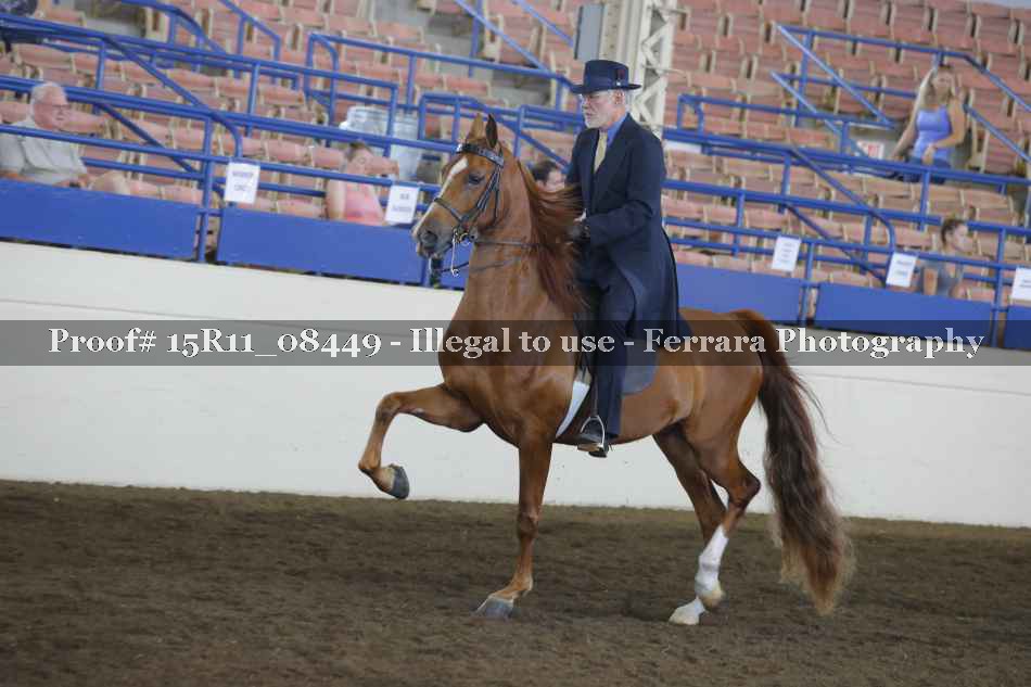 Proof 15R11_08449