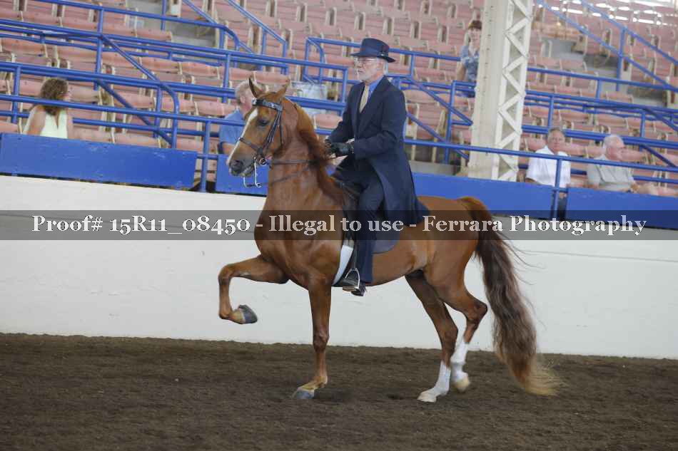Proof 15R11_08450