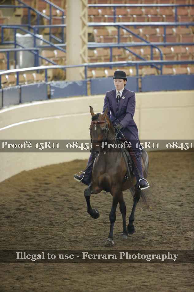 Proof 15R11_08451