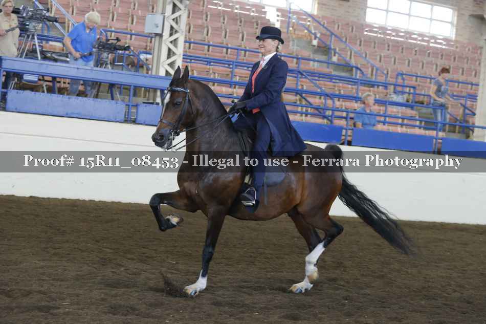 Proof 15R11_08453