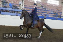 15R11_08453 proof