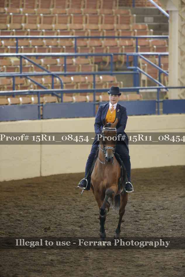 Proof 15R11_08454