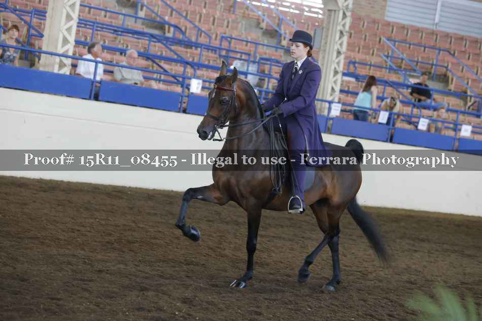 Proof 15R11_08455