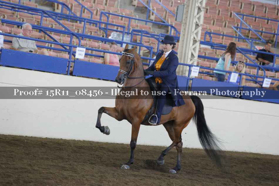 Proof 15R11_08456