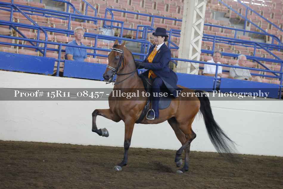 Proof 15R11_08457