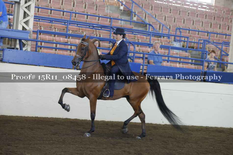 Proof 15R11_08458