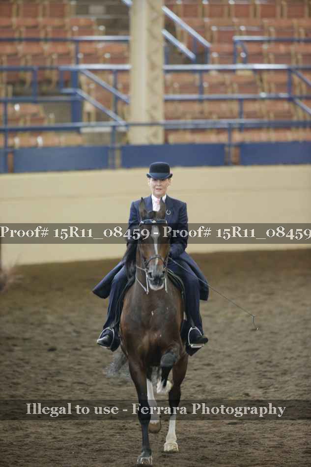 Proof 15R11_08459