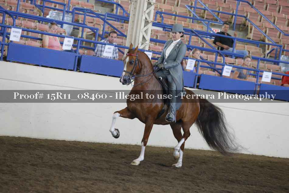 Proof 15R11_08460