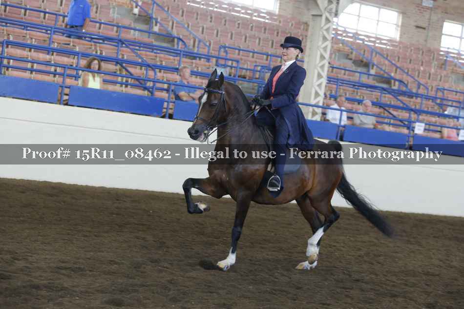 Proof 15R11_08462