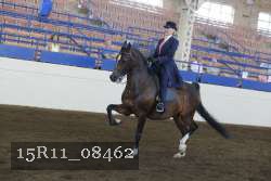 15R11_08462 proof
