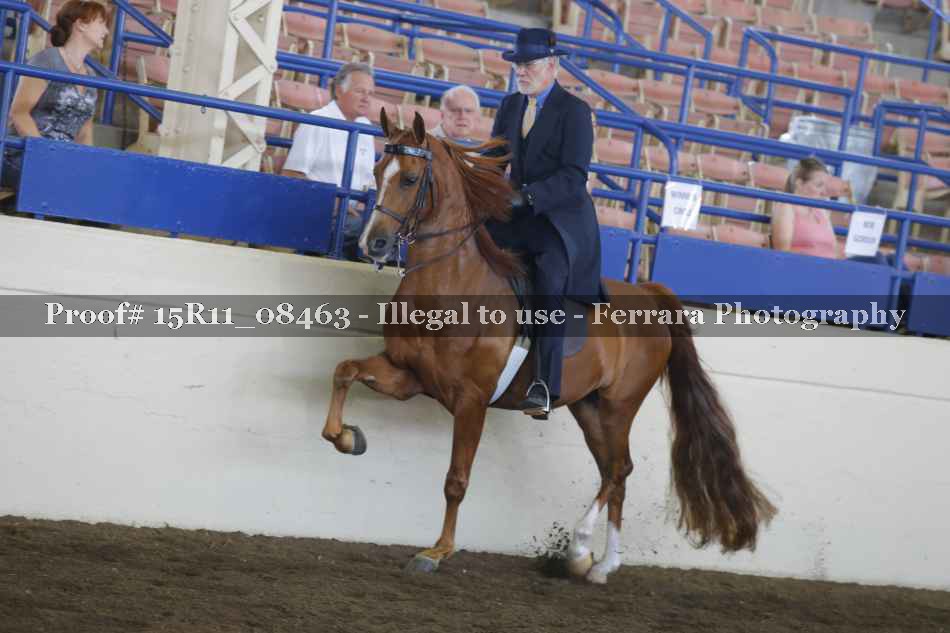 Proof 15R11_08463
