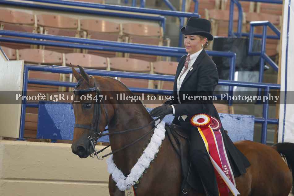 Proof 15R11_08471