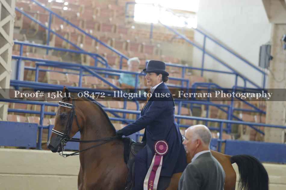 Proof 15R11_08472