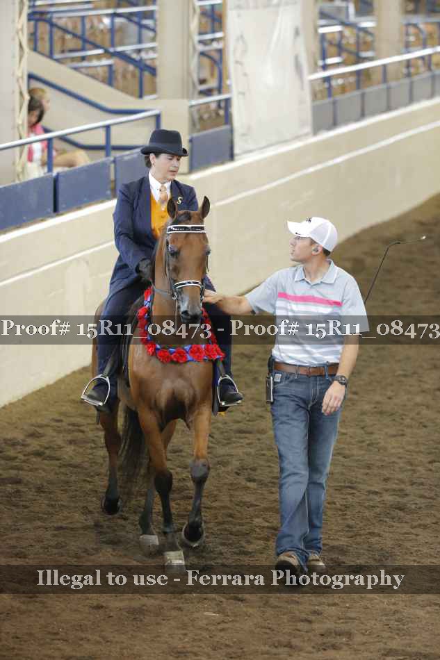 Proof 15R11_08473