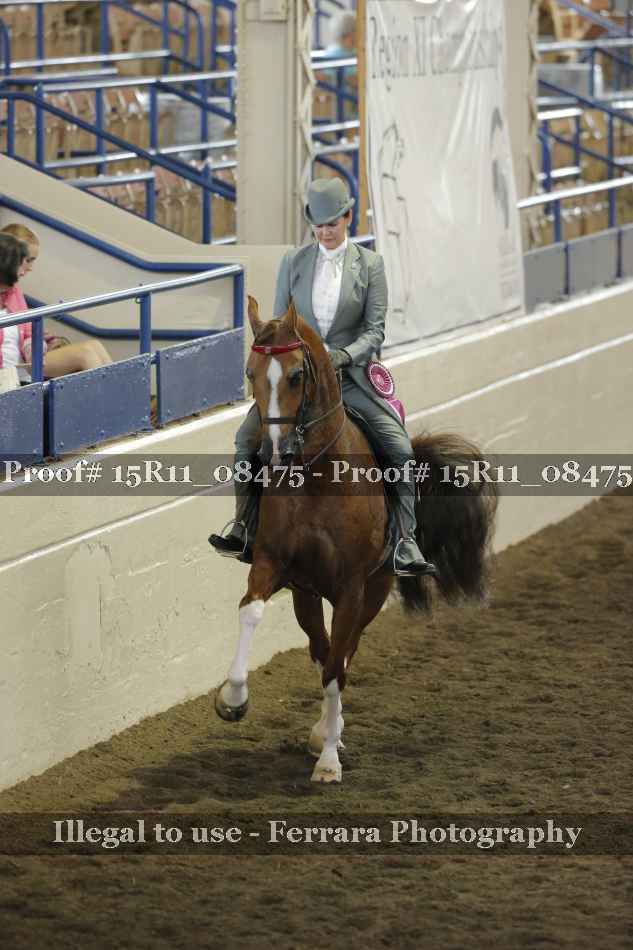 Proof 15R11_08475