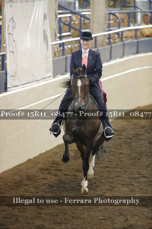 Proof 15R11_08477