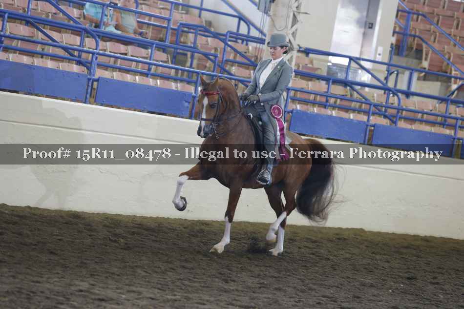 Proof 15R11_08478
