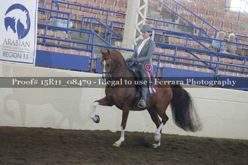 Proof 15R11_08479
