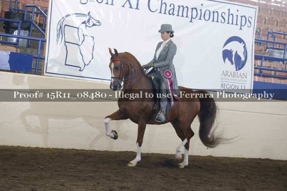 Proof 15R11_08480