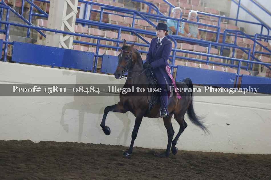Proof 15R11_08484