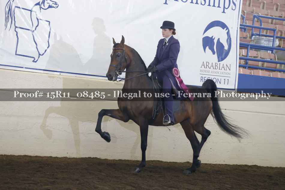Proof 15R11_08485