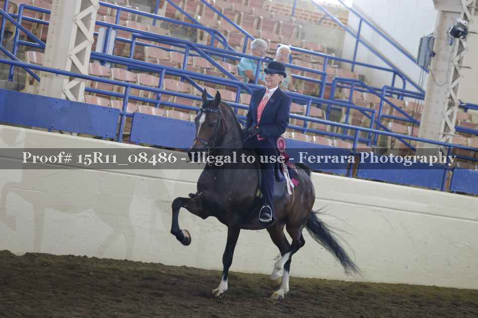 Proof 15R11_08486