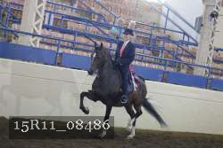 15R11_08486 proof