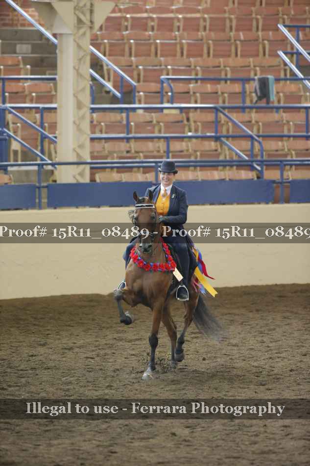Proof 15R11_08489