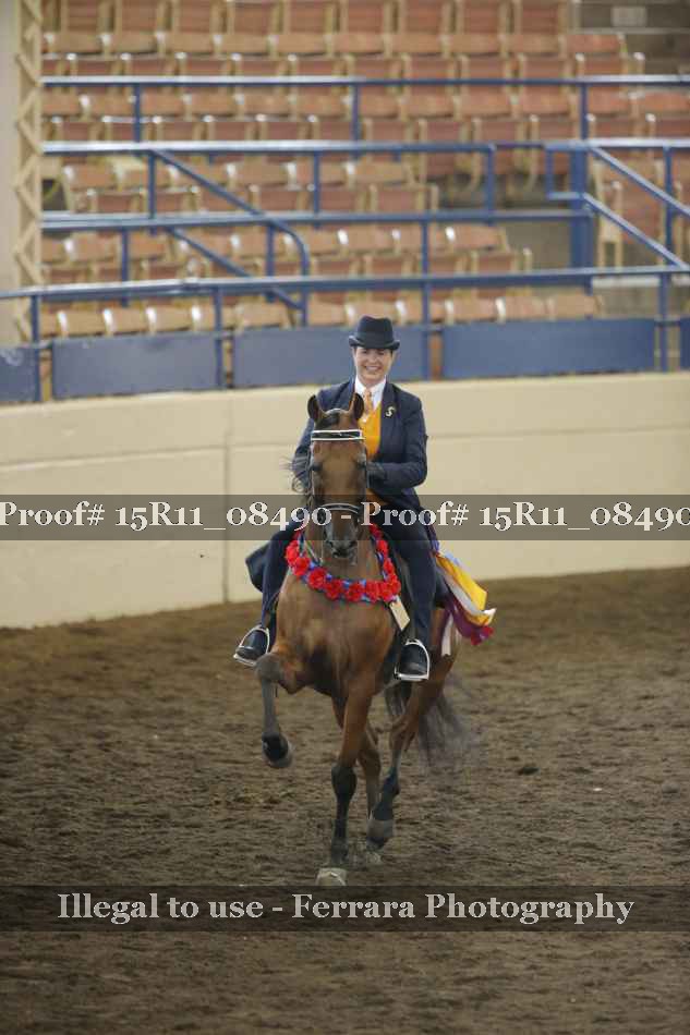 Proof 15R11_08490