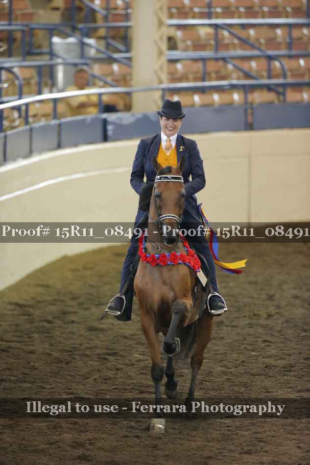 Proof 15R11_08491