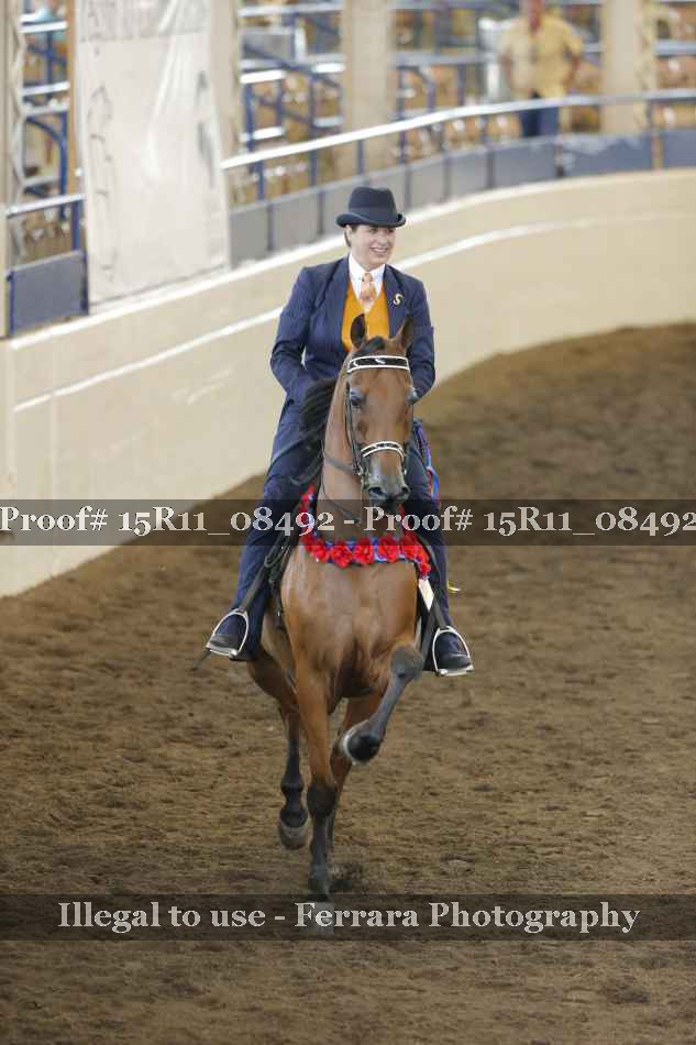 Proof 15R11_08492