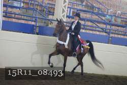 15R11_08493 proof