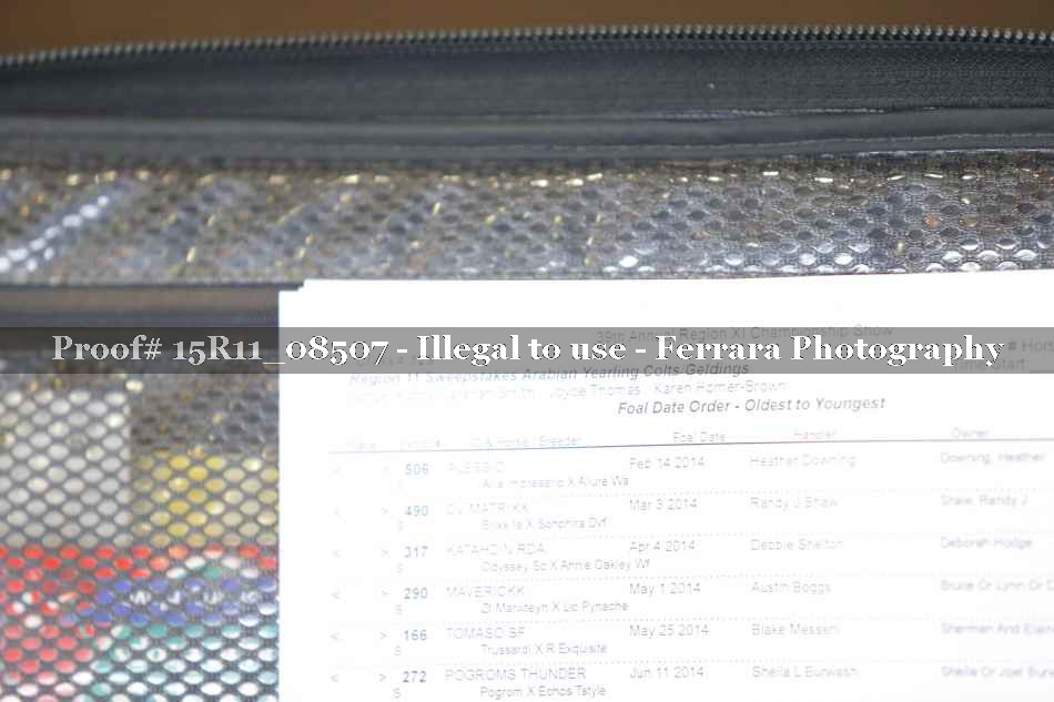 Proof 15R11_08507