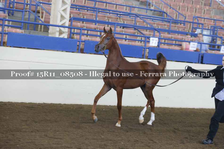 Proof 15R11_08508
