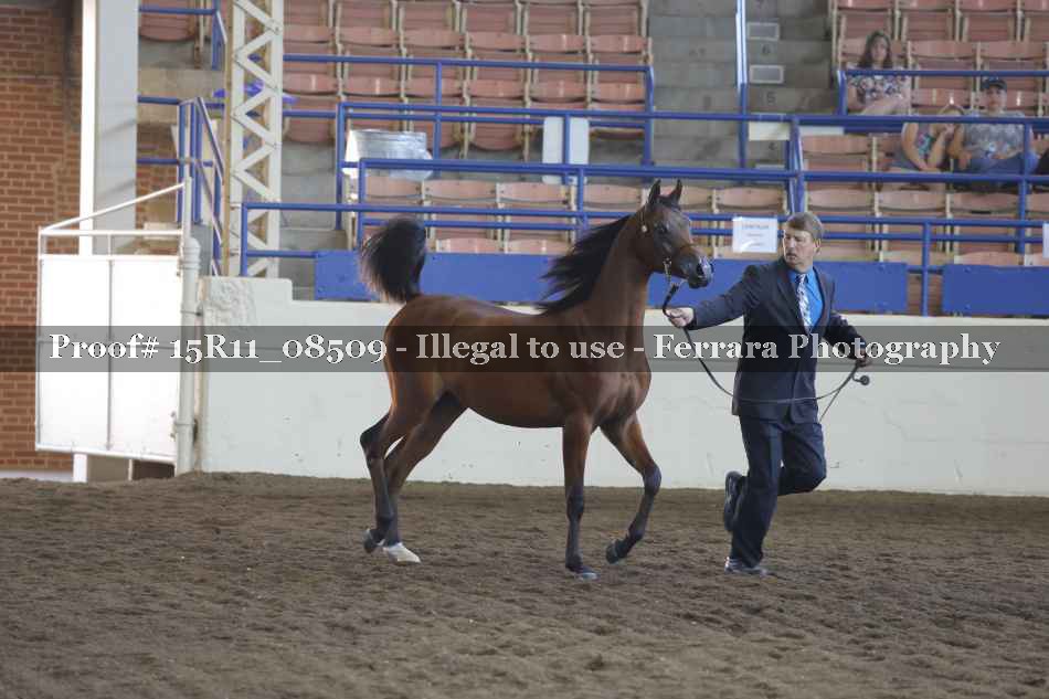 Proof 15R11_08509
