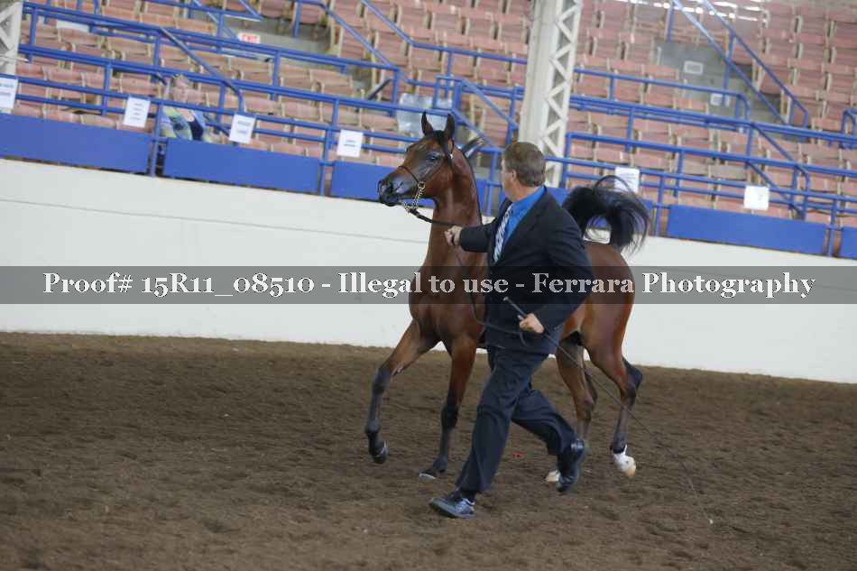 Proof 15R11_08510