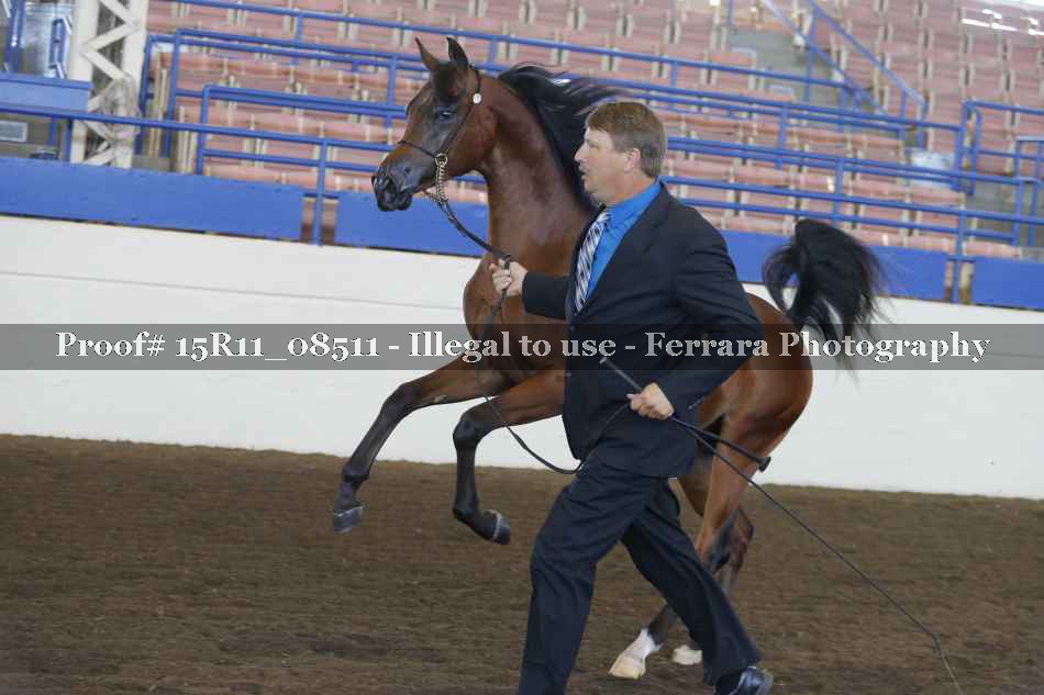 Proof 15R11_08511