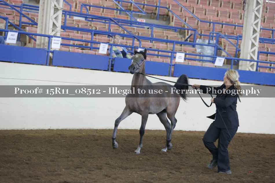 Proof 15R11_08512