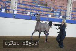 15R11_08512 proof