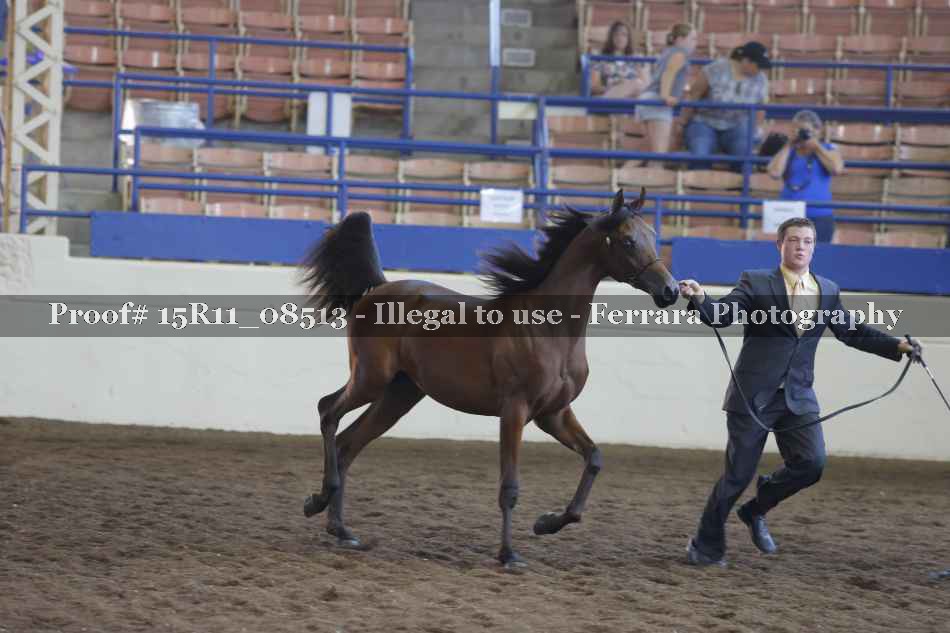 Proof 15R11_08513