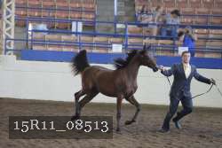 15R11_08513 proof