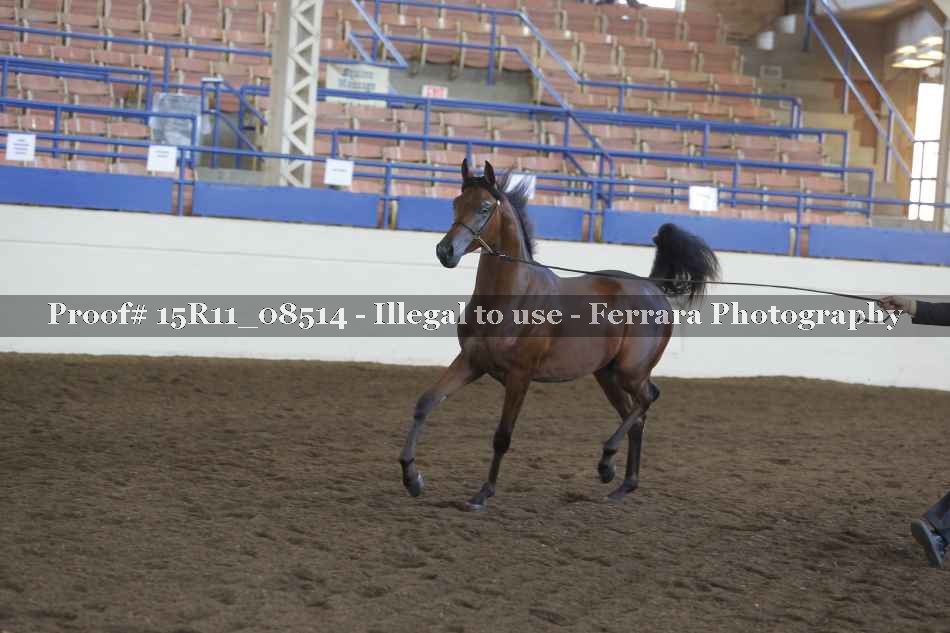 Proof 15R11_08514