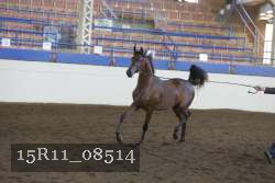 15R11_08514 proof