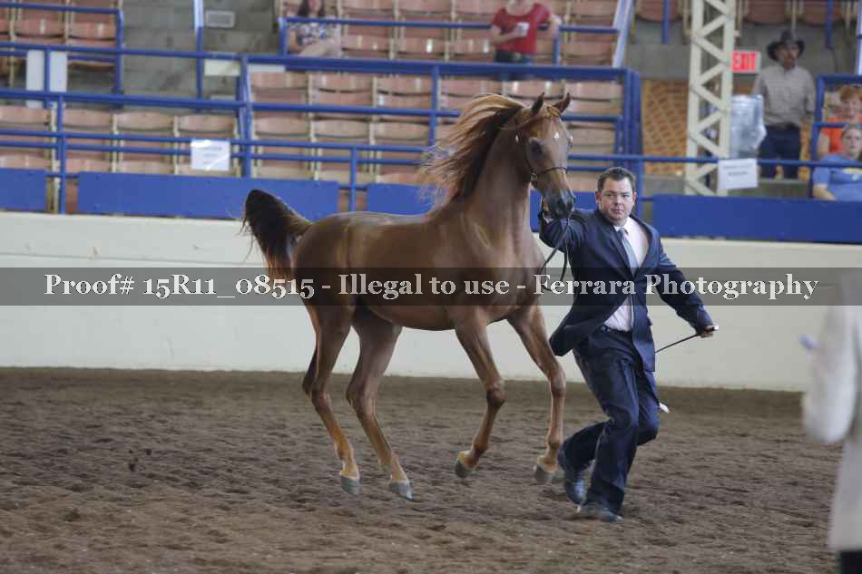 Proof 15R11_08515