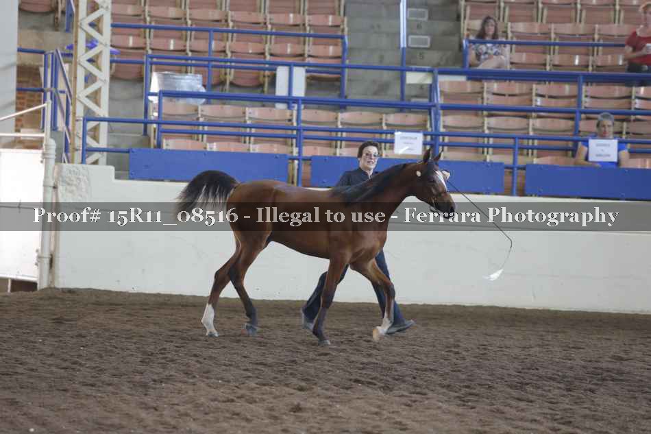 Proof 15R11_08516