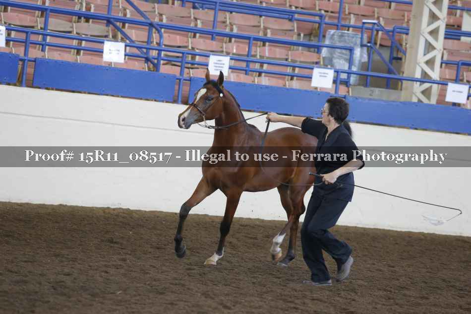 Proof 15R11_08517